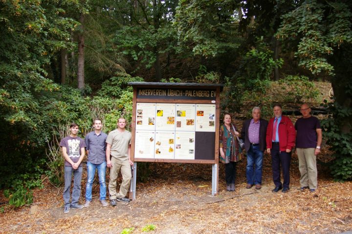 AWO Heinsberg Bienenprojekt