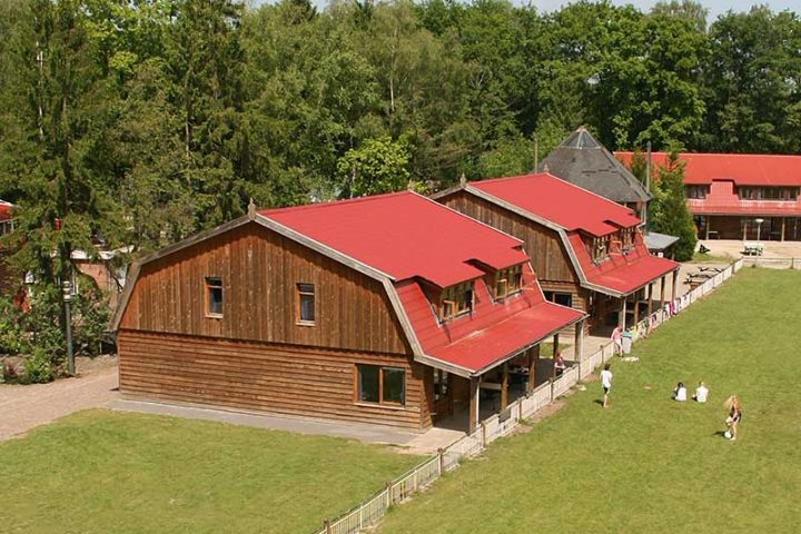Ehrenamtliche Campbetreuer*innen gesucht 3
