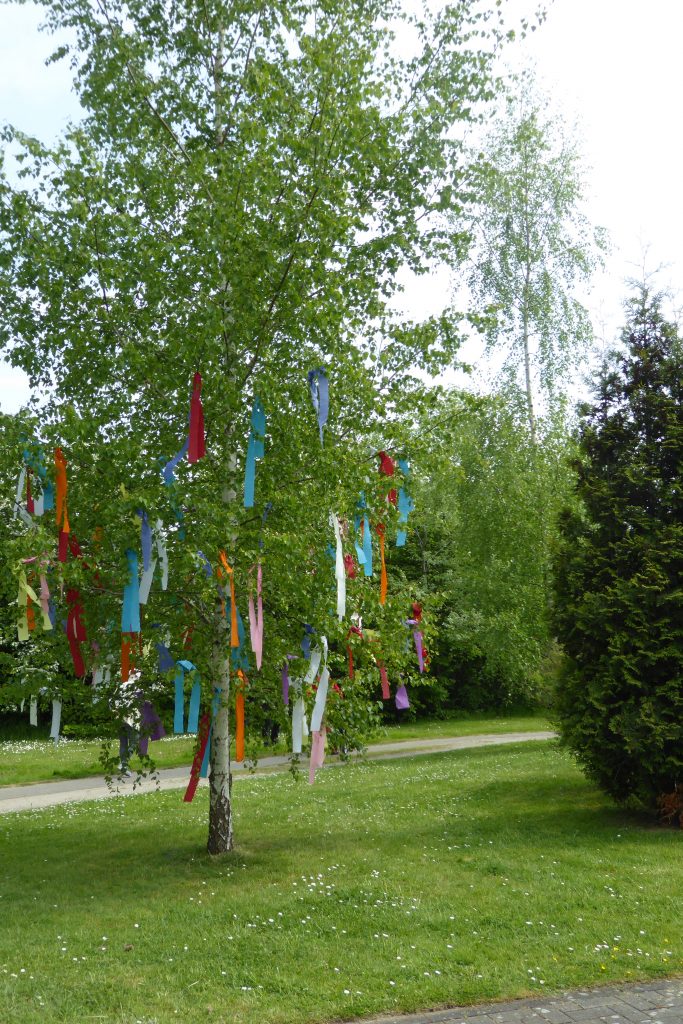 Carolus Seniorenzentrum bereitet Bewohner*innen einen farbenfrohen Start in den Wonnemonat Mai 2
