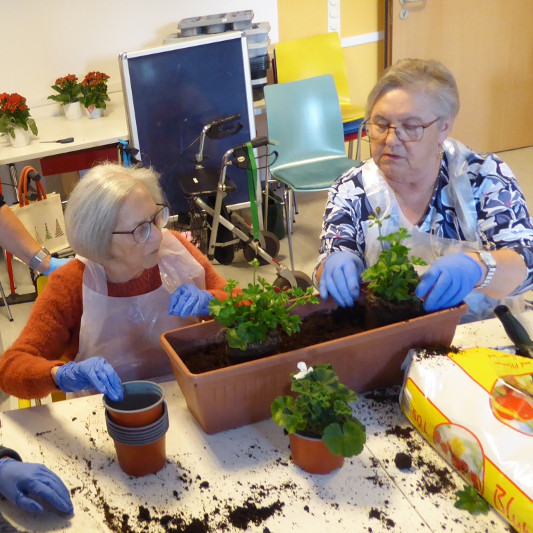 Senior*innen sorgen für Blütenpracht im Carolus Seniorenzentrum 1