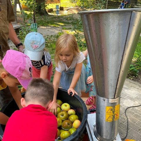 Ohne Apfel geht hier gar nichts - Die Kindergartenkinder der AWO-Kita in Übach lernten beim Apfelfest wieder einiges über Nachhaltigkeit und wie leckerer Apfelsaft entsteht 8