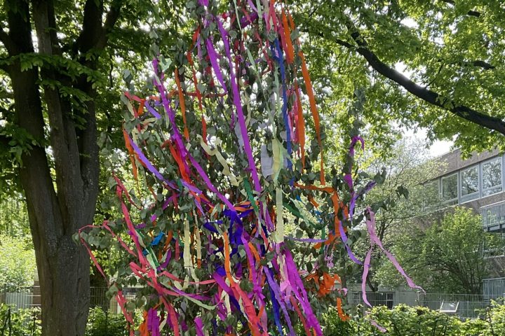 Die AWO Einrichtungen begrüßen den Mai 1