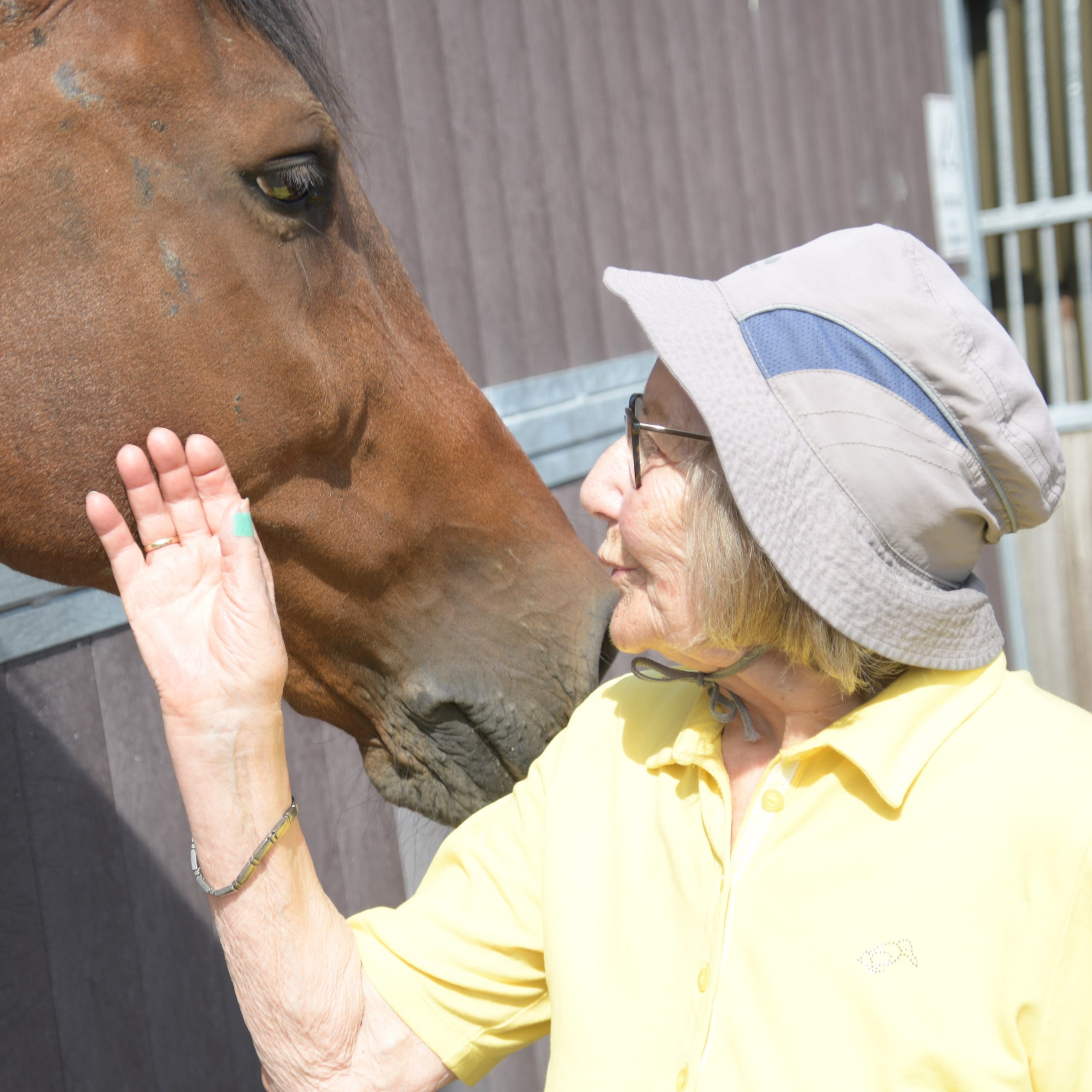 Senior*innen genießen traditionellen Ausflug zum Pferdehof Pütt 1