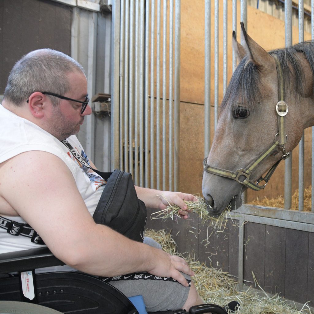 Senior*innen genießen traditionellen Ausflug zum Pferdehof Pütt 5