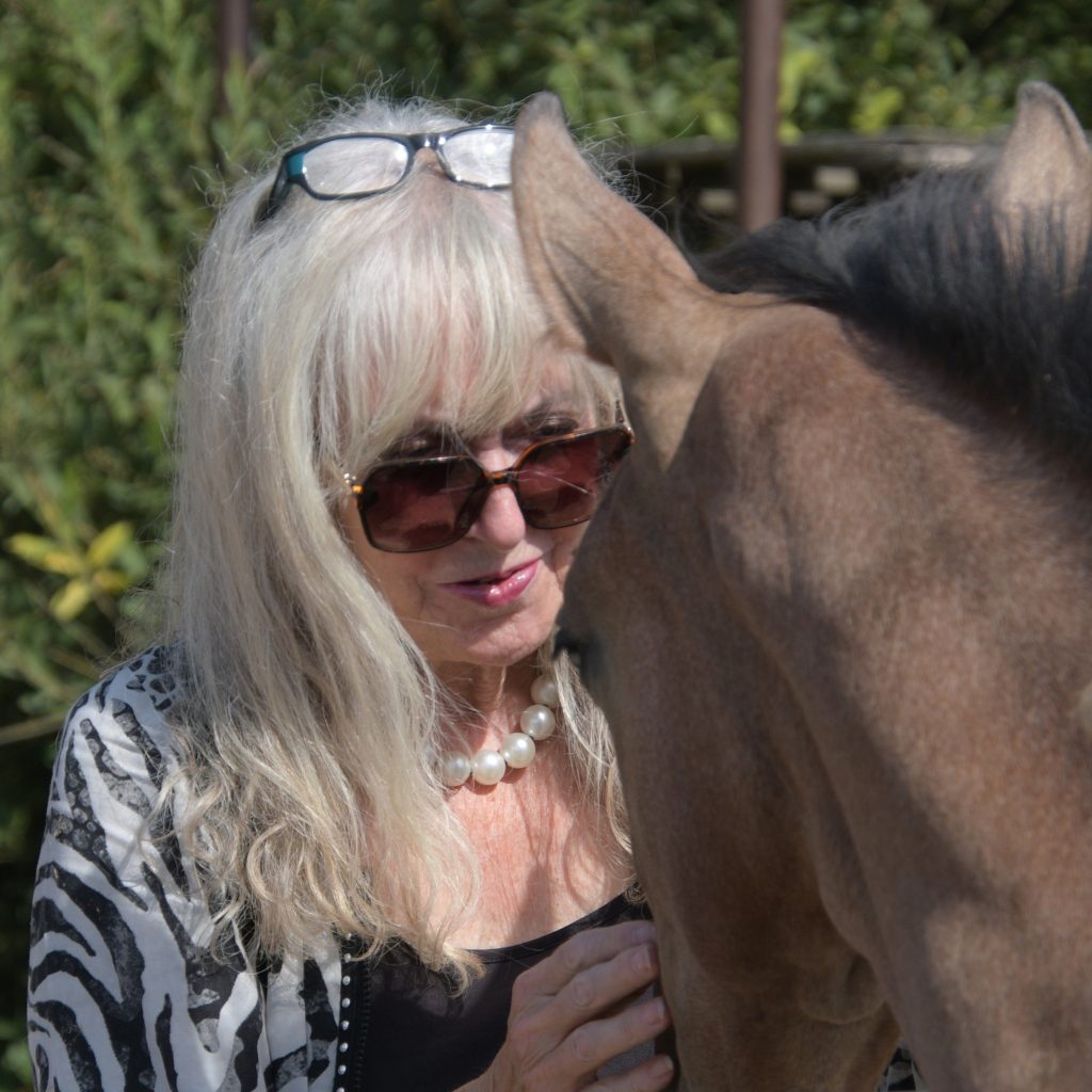 Senior*innen genießen traditionellen Ausflug zum Pferdehof Pütt 4