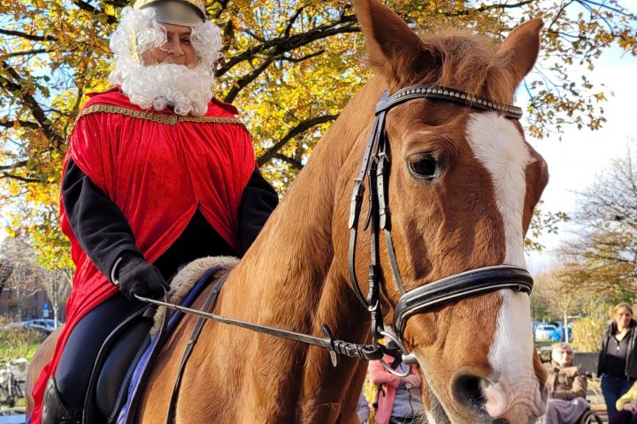 St. Martin im AWO Altenzentrum Heinsberg: Tradition, Begegnung und ein vertrautes Pferd 4