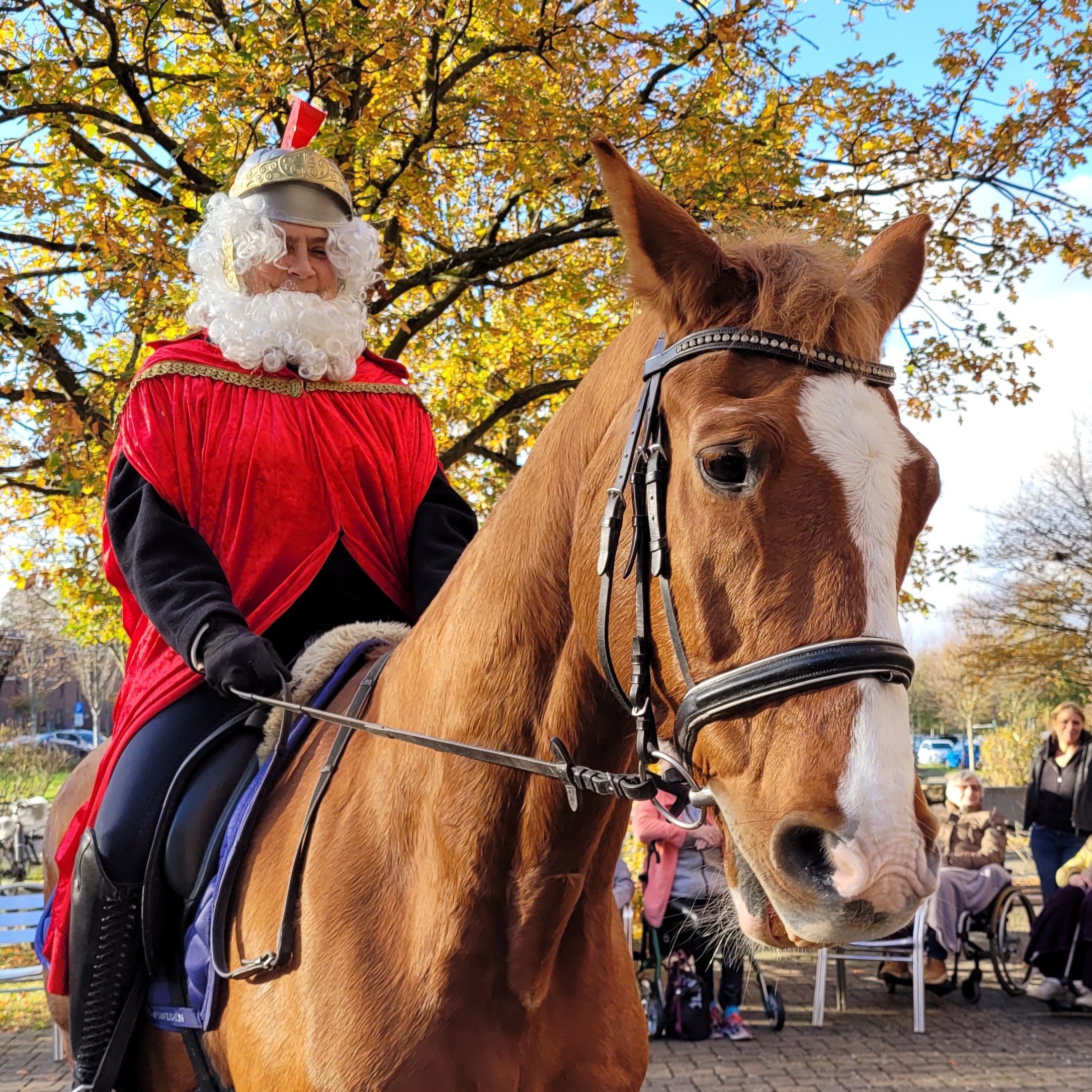 St. Martin im AWO Altenzentrum Heinsberg: Tradition, Begegnung und ein vertrautes Pferd 1