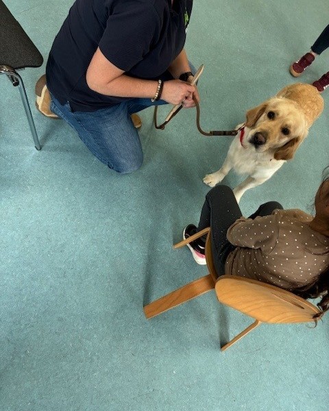 Hundeführerschein dür die Schulkinder der AWO Kita Ratheim 2