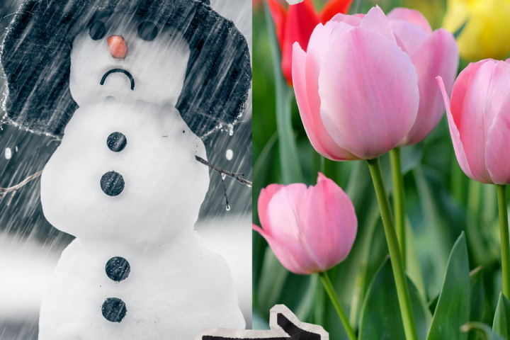 AWO-Kita Übach vertreibt den Winter 5