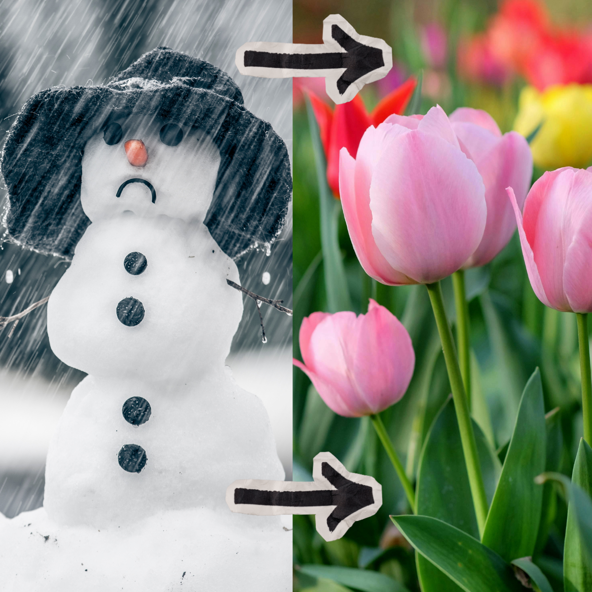 AWO-Kita Übach vertreibt den Winter 1