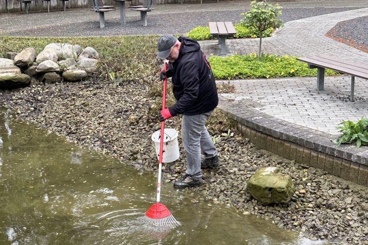Teich Reinigung im Park der AWO im Kreis Heinsberg 1