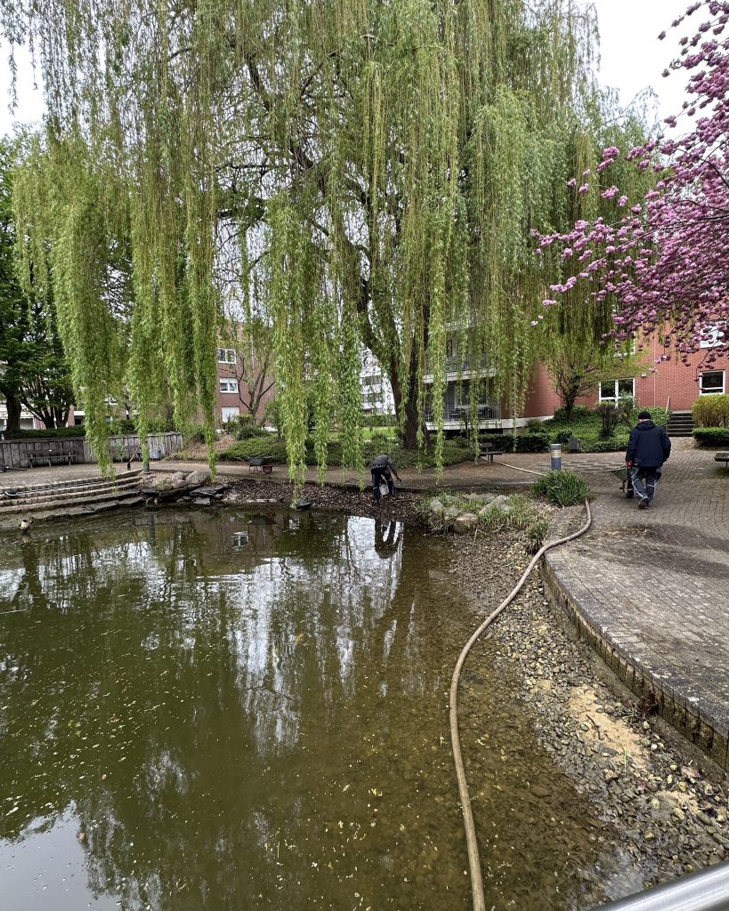 Teich Reinigung im Park der AWO im Kreis Heinsberg 5 Teich Reinigung im Park der AWO im Kreis Heinsberg 5