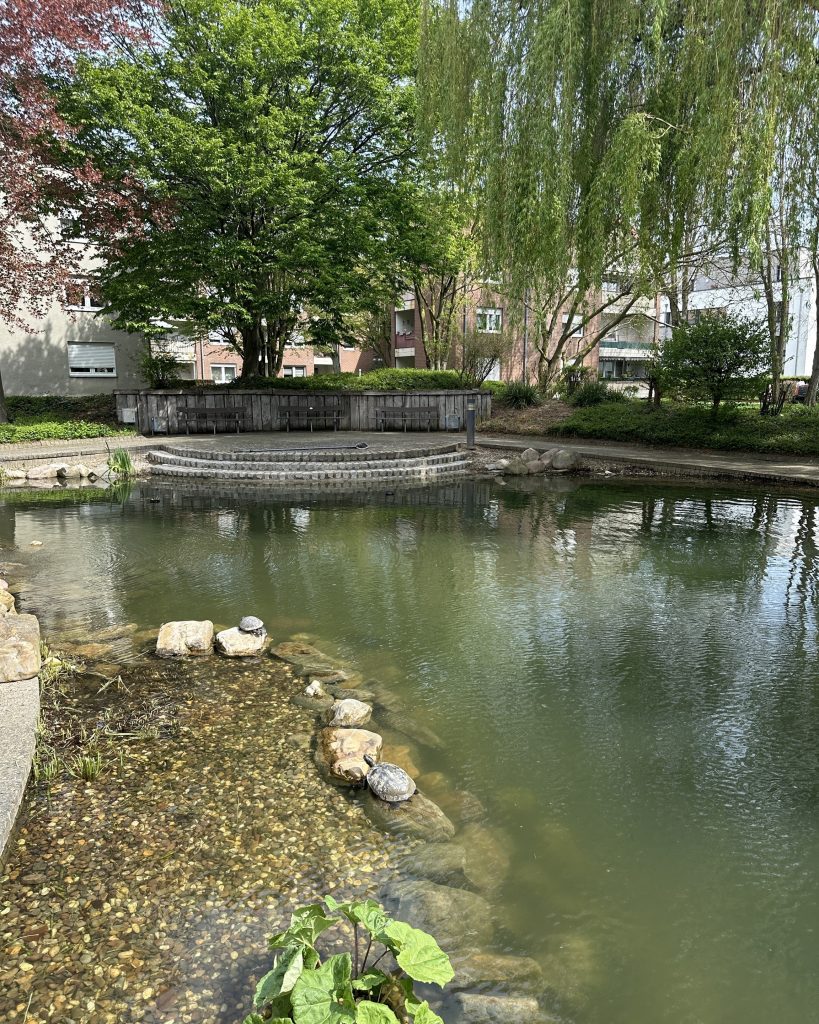 Teich Reinigung im Park der AWO im Kreis Heinsberg 6 Teich Reinigung im Park der AWO im Kreis Heinsberg 6