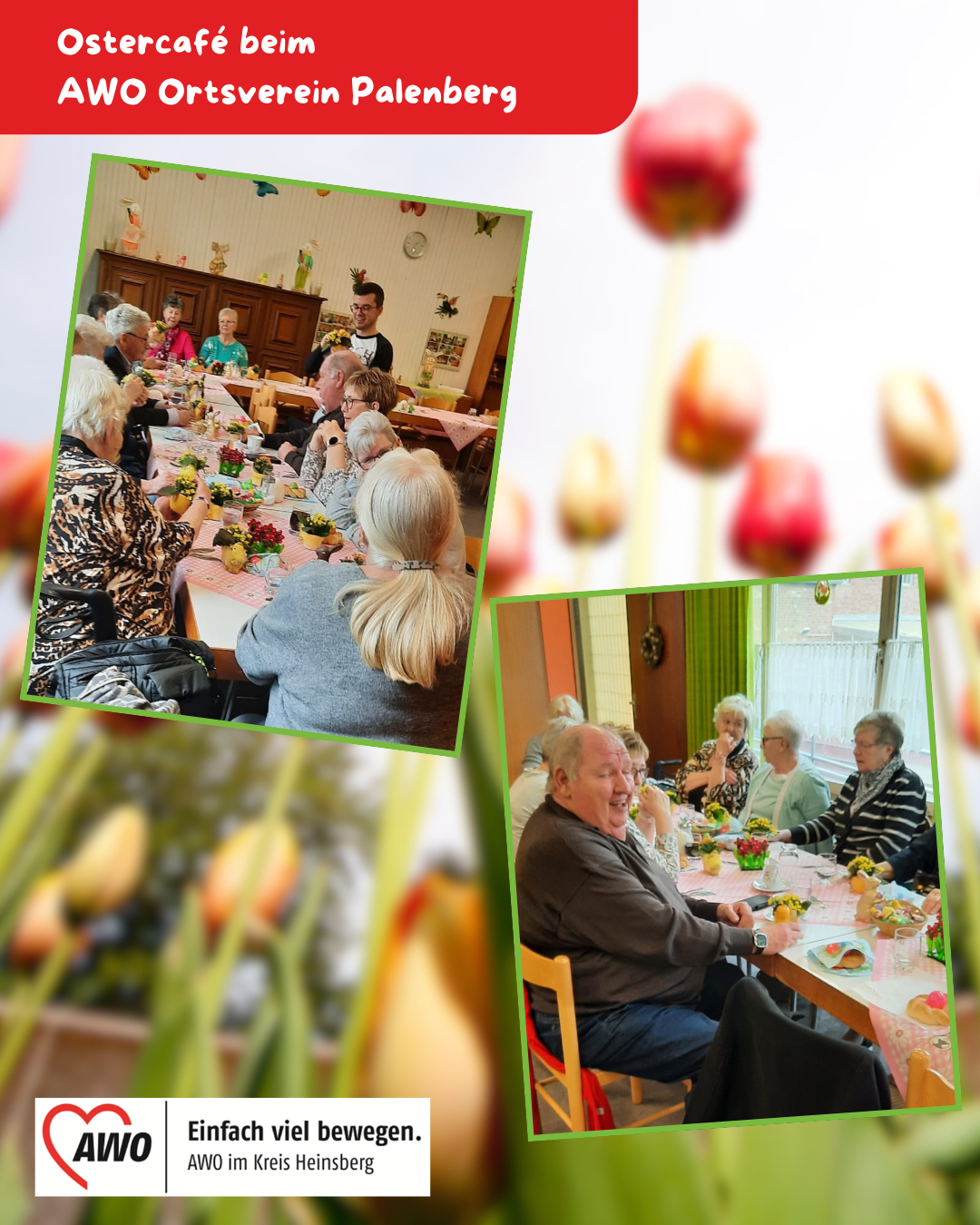 Ostercafé beim AWO Ortsverein Palenberg 1