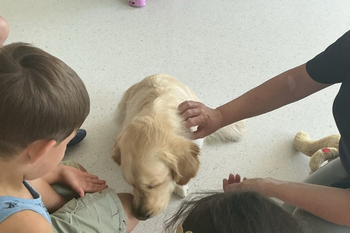 Therapiehündin Ilka besucht unsere Vorschulkinder 1