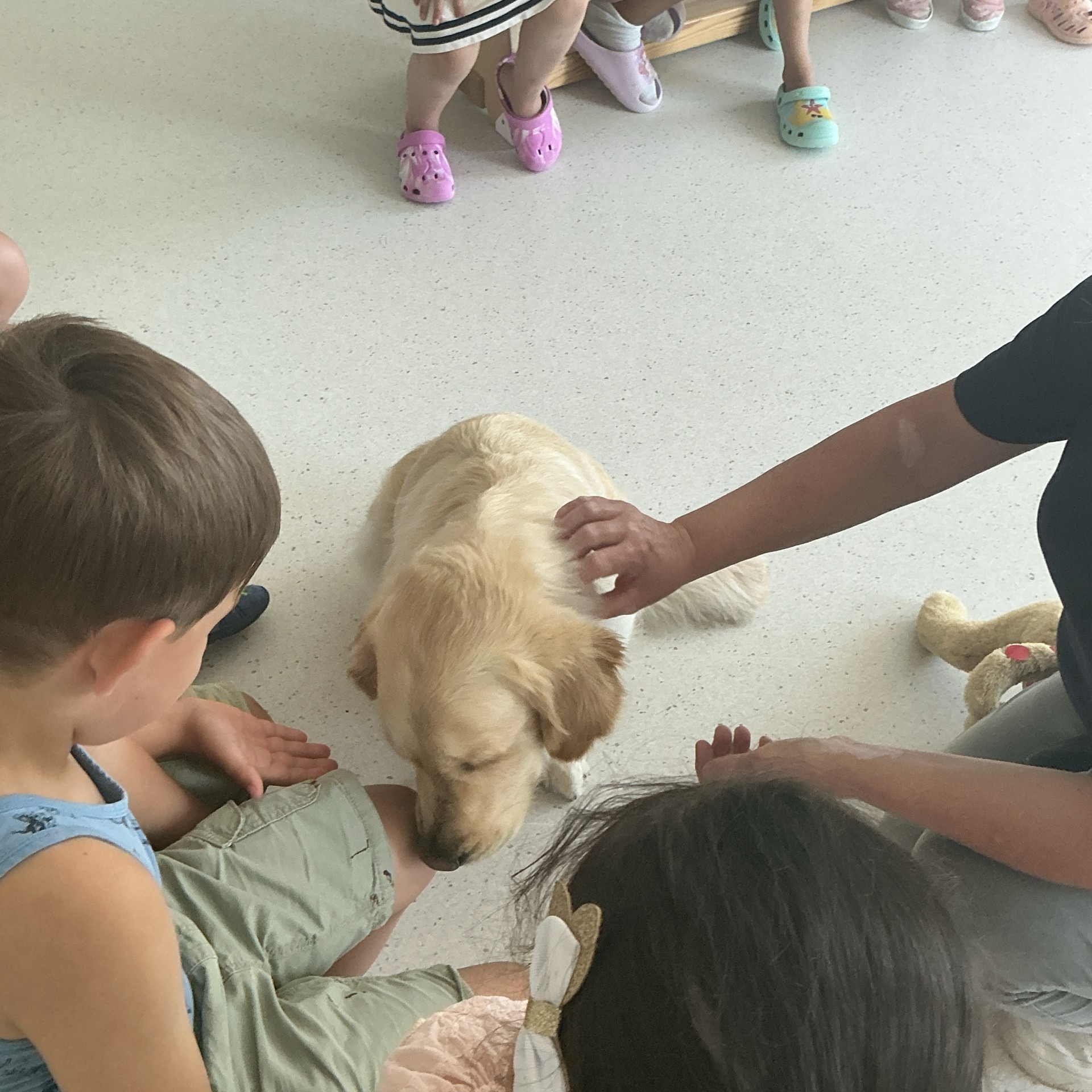 Therapiehündin Ilka besucht unsere Vorschulkinder 1