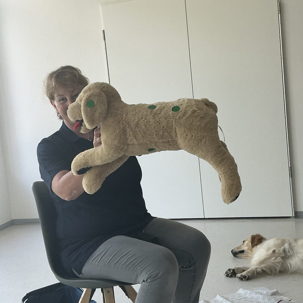 Therapiehündin Ilka besucht unsere Vorschulkinder 2