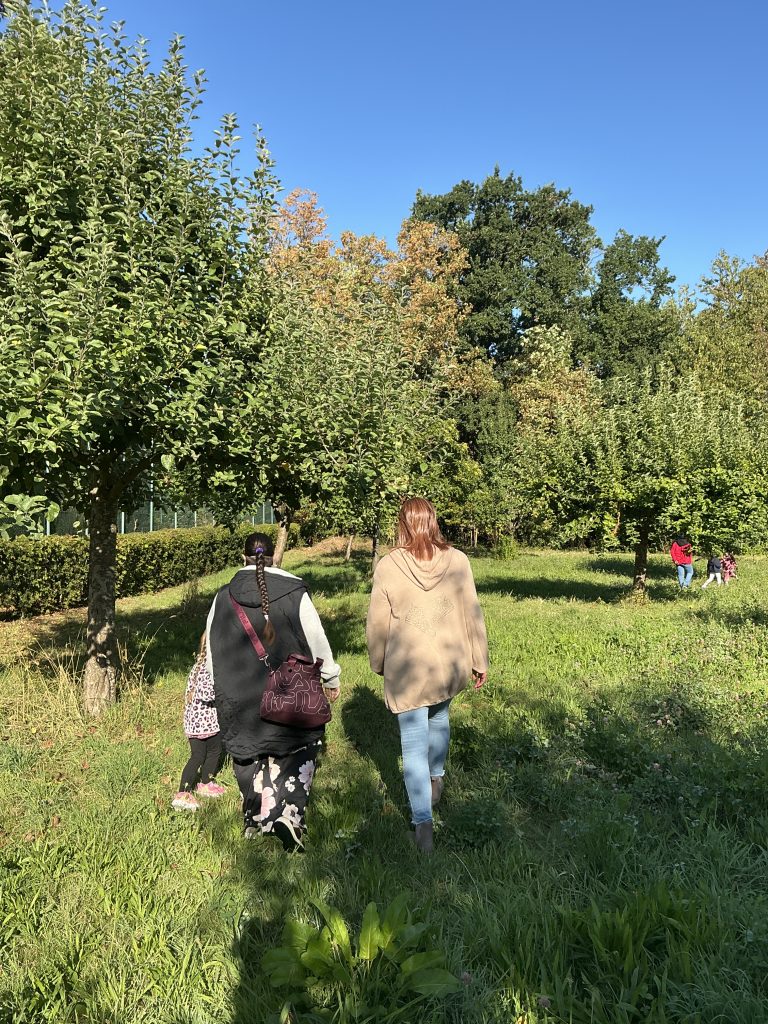 Äpfel pflücken mit dem Naturschutzbund 2 Äpfel pflücken mit dem Naturschutzbund 2