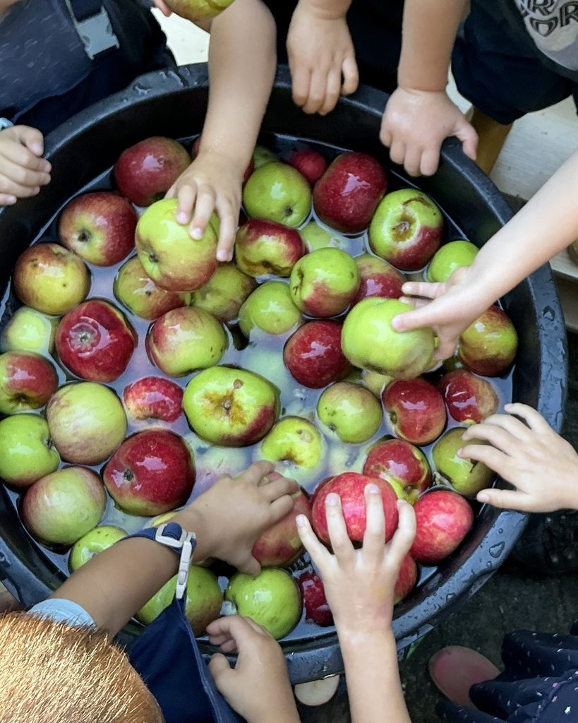 Vom Apfel zum Apfelsaft – eine tolle Aktion in der AWO Kita Comeniusstraße! 2 Vom Apfel zum Apfelsaft – eine tolle Aktion in der AWO Kita Comeniusstraße! 2