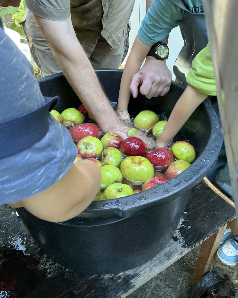 Vom Apfel zum Apfelsaft – eine tolle Aktion in der AWO Kita Comeniusstraße! 4 Vom Apfel zum Apfelsaft – eine tolle Aktion in der AWO Kita Comeniusstraße! 4